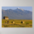 Suche nach rasen poster Berg