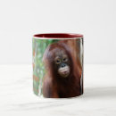 Recherche de orangs outans tasses Le bornéo