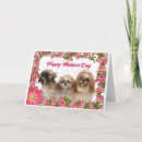 Suche nach shih tzu karten Niedliche hunde