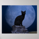 Recherche de chat clair lune art Nuit