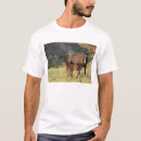 Recherche de poulain tshirts Faune