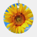 Suche nach gelbe sonnenblumen ornamente Himmel