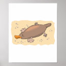 Suche nach platypus poster Australie