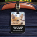 Suche nach corgi gepäckanhänger Welpe