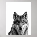Suche nach schwarzer wolf poster Portrait