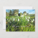 Recherche de de chute cartes postales Vert