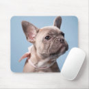 Recherche de french bulldog tapis souris Pet