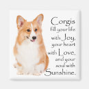 Suche nach pembroke welsh corgi magnete Haustiere