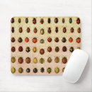 Recherche de entomologie tapis souris Coccinelle