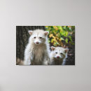 Suche nach animals leinwandbilder Young animal