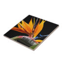 Recherche de hawaï carreaux Floral