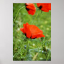 Recherche de conception unique posters Coloré