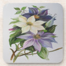 Suche nach clematis untersetzer Botanisch
