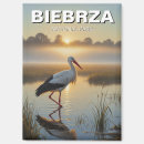 Suche nach storch magnete Tierwelt