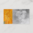 Recherche de fleurs orange cartes visite Unique