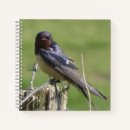 Recherche de birdwatcher Observation des oiseaux