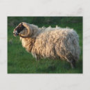 Suche nach hebrides postkarten Scotland