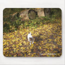 Suche nach herbst blätter mousepads Tier