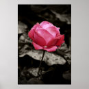 Suche nach rosendruck Mit blumen