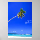 Suche nach boracay poster Kokospalmen
