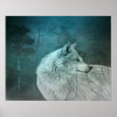 Suche nach schöner wolf poster Naturfotografie