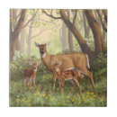 Recherche de crevette carreaux Forêt