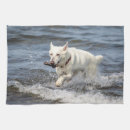 Suche nach fang geschirr tücher Hund