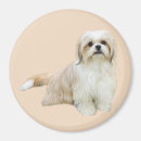 Recherche de shih tzu tissu Shitzu