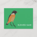 Recherche de oiseaux colorés cartes visite Pour elle