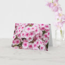 Recherche de pays galles vœux cartes Baleines