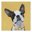 Recherche de terrier boston posters Chien
