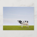 Recherche de finances cartes postales Horizontal
