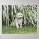 Recherche de reposer posters Dehors