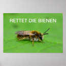 Suche nach makro poster Natur