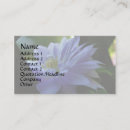 Suche nach clematis visitenkarten Natur