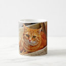 Recherche de chat tigré orange tasses Mignon