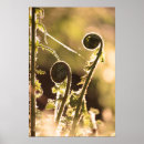 Suche nach frühjahr poster Botanisch