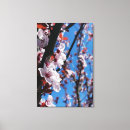 Recherche de bleu clair impressions sur toile Fleur