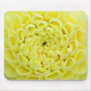 Suche nach dahlien mousepads Blüte