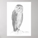 Recherche de hibou blanc posters Portrait