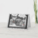 Recherche de sérénade vœux cartes Chat