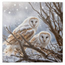 Recherche de chouette carreaux Oiseaux