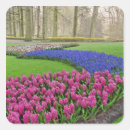 Recherche de jacinthe autocollants Nature