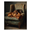 Suche nach dachshund poster Für hundebesitzer