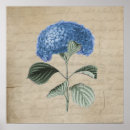 Suche nach vintages pergament poster Blumenreich