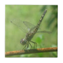 Suche nach wanzen fliesen Libelle