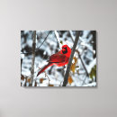 Recherche de vif impressions sur toile Brillant