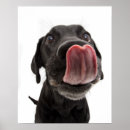 Recherche de labrador retriever art Puppy