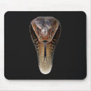 Recherche de cobras tapis souris Serpent