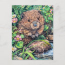 Recherche de castor cartes postales Illustration